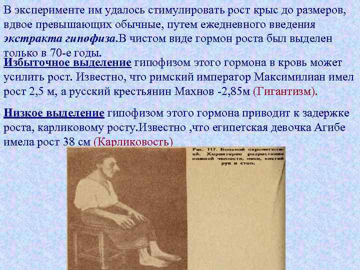В эксперименте им удалось стимулировать рост крыс до размеров, вдвое превышающих обычные, путем ежедневного