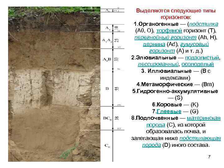 А1 это горизонт. Почвенный иллювиальный Горизонт. Подстилочно торфяной Горизонт. Элювиальный Горизонт почвы. Гумусовые и органогенные горизонты почв.