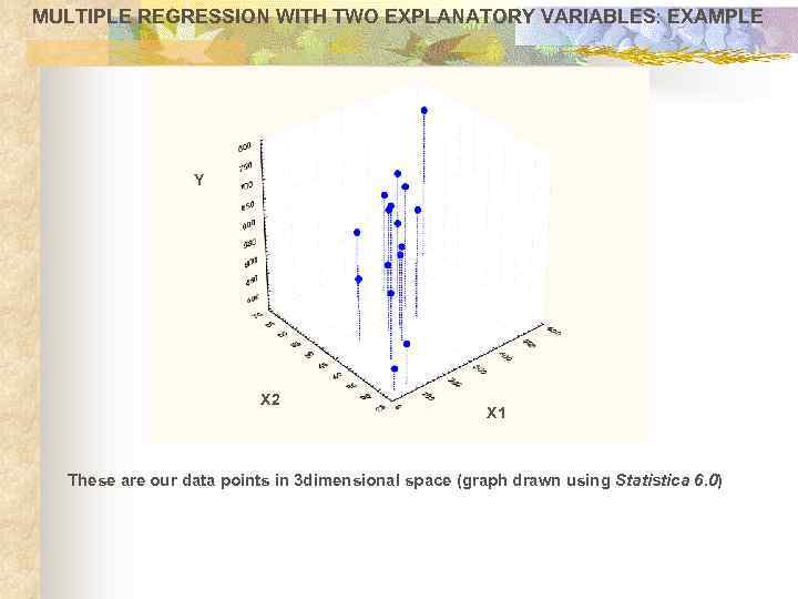 MULTIPLE REGRESSION WITH TWO EXPLANATORY VARIABLES: EXAMPLE Y X 2 X 1 These are