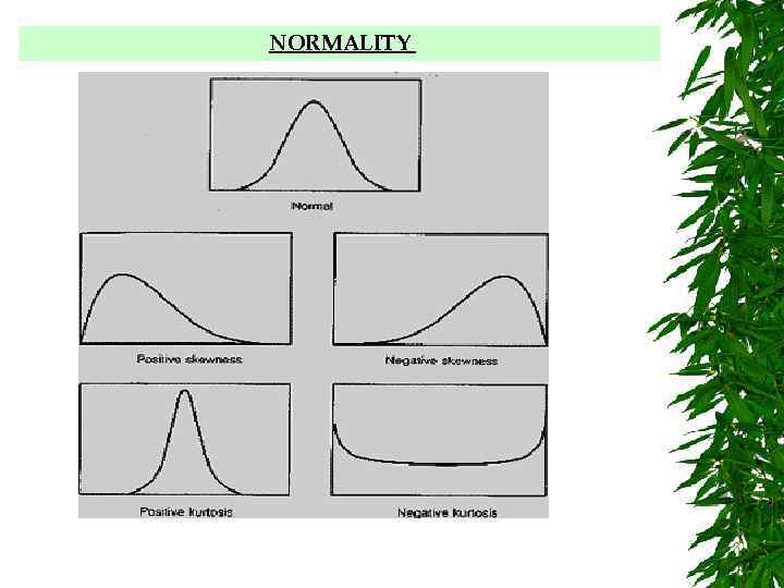 NORMALITY 