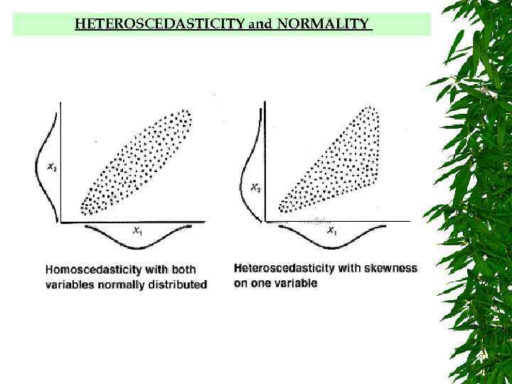 HETEROSCEDASTICITY and NORMALITY 