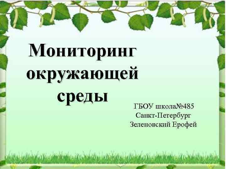 Мониторинг окружающей среды ГБОУ школа№ 485 Санкт-Петербург Зеленовский Ерофей 