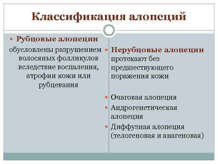 Классификация алопеций Рубцовые алопеции обусловлены разрушением волосяных фолликулов вследствие воспаления, атрофии кожи или рубцевания