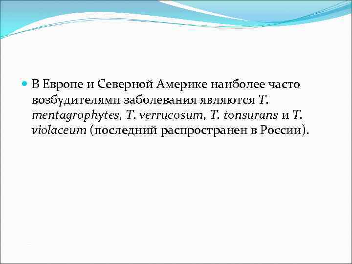  В Европе и Северной Америке наиболее часто возбудителями заболевания являются T. mentagrophytes, T.