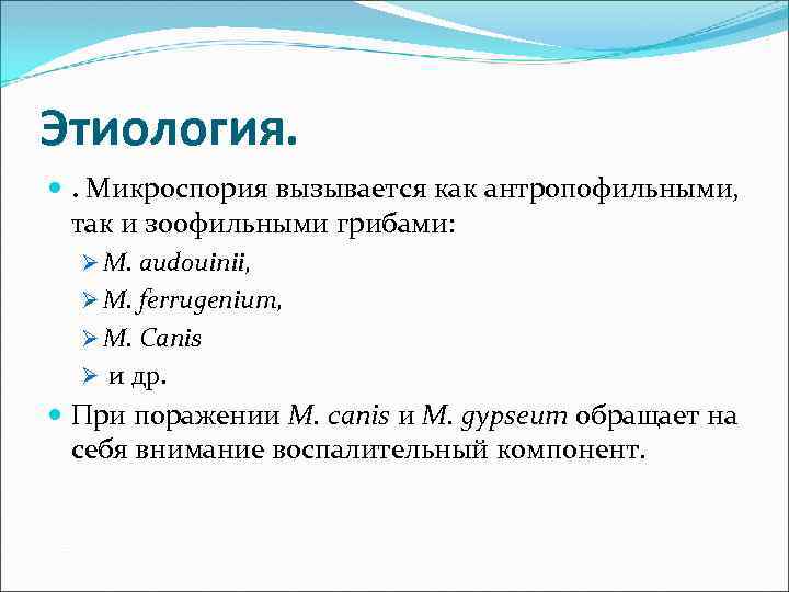 Этиология. . Микроспория вызывается как антропофильными, так и зоофильными грибами: Ø M. audouinii, Ø