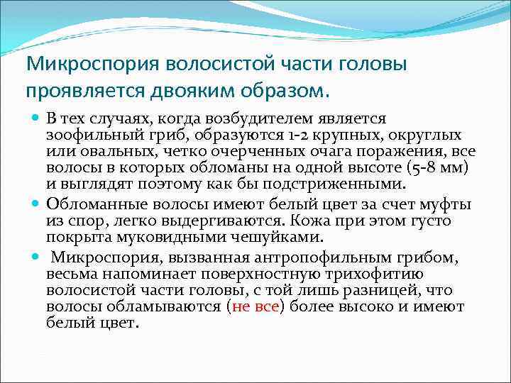 Микроспория волосистой части головы проявляется двояким образом. В тех случаях, когда возбудителем является зоофильный