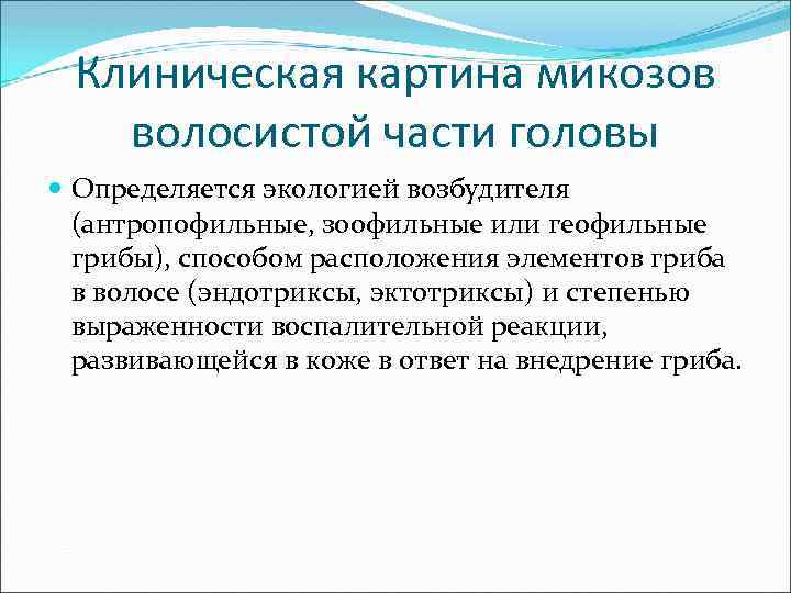 Клиническая картина микозов волосистой части головы Определяется экологией возбудителя (антропофильные, зоофильные или геофильные грибы),