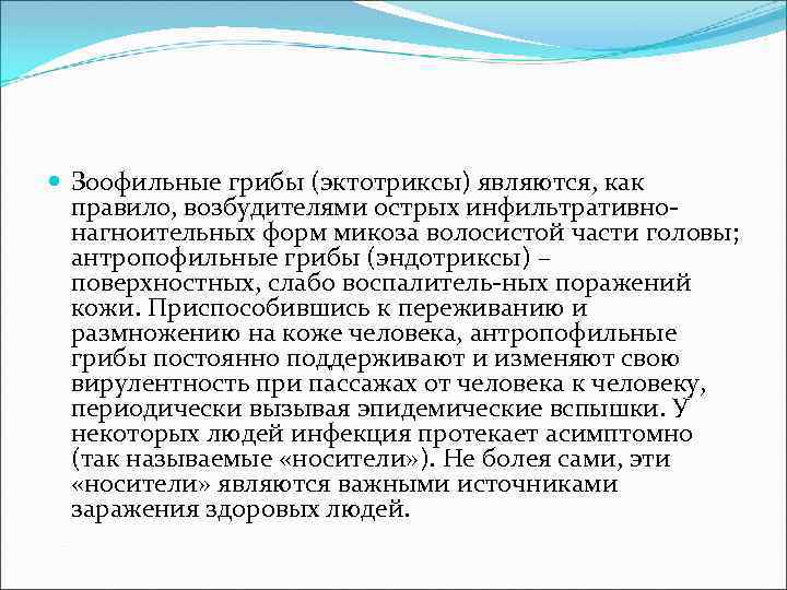  Зоофильные грибы (эктотриксы) являются, как правило, возбудителями острых инфильтративно нагноительных форм микоза волосистой