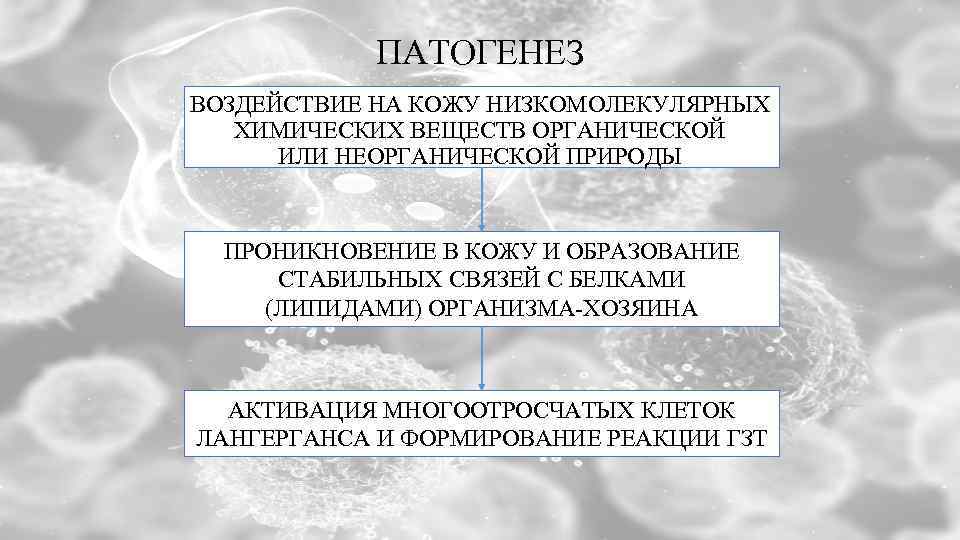 ПАТОГЕНЕЗ ВОЗДЕЙСТВИЕ НА КОЖУ НИЗКОМОЛЕКУЛЯРНЫХ ХИМИЧЕСКИХ ВЕЩЕСТВ ОРГАНИЧЕСКОЙ ИЛИ НЕОРГАНИЧЕСКОЙ ПРИРОДЫ ПРОНИКНОВЕНИЕ В КОЖУ