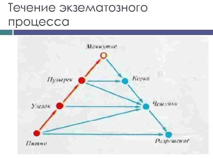 Течение экзематозного процесса 