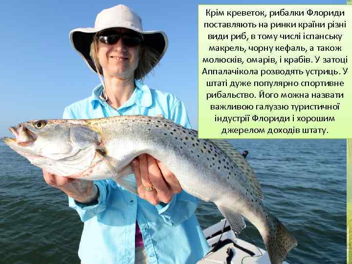 Крім креветок, рибалки Флориди поставляють на ринки країни різні види риб, в тому числі