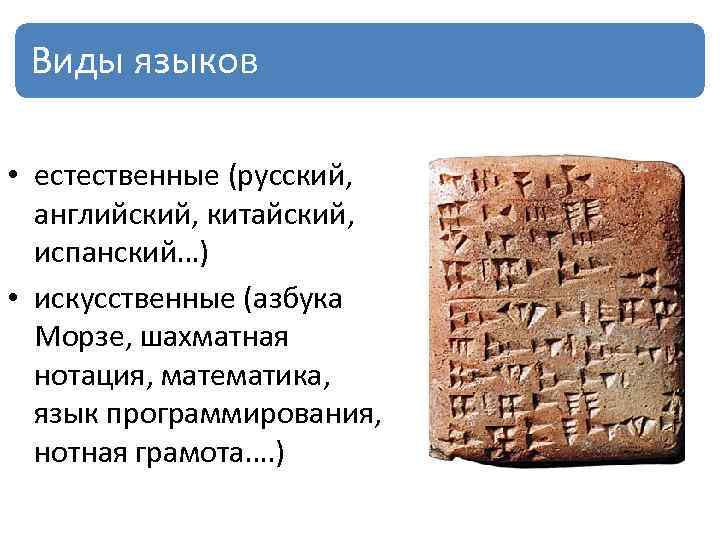 Виды языков • естественные (русский, английский, китайский, испанский…) • искусственные (азбука Морзе, шахматная нотация,