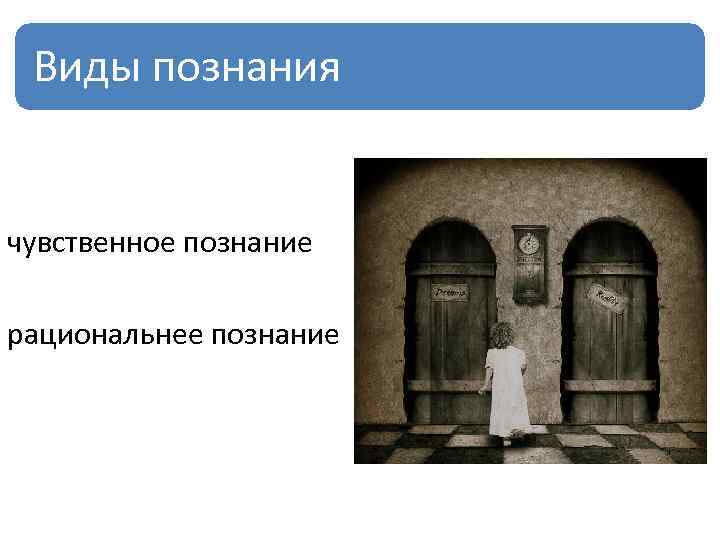 Виды познания чувственное познание рациональнее познание 