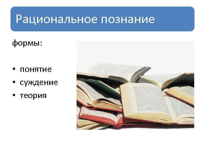 Рациональное познание формы: • понятие • суждение • теория 