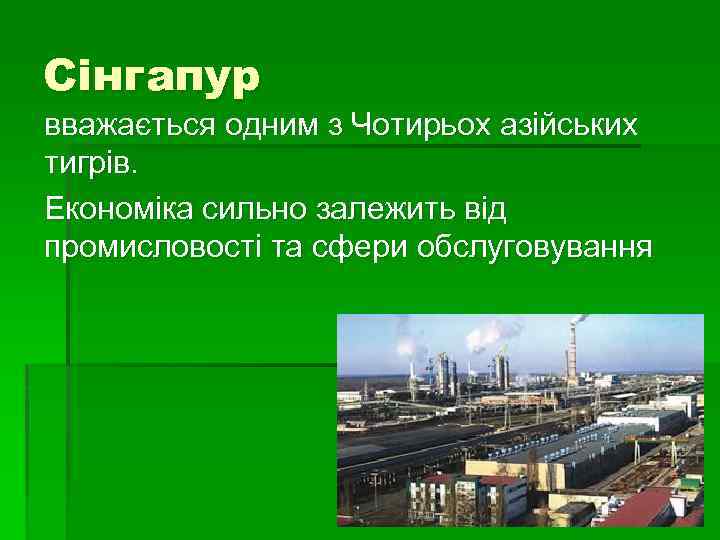 Сінгапур вважається одним з Чотирьох азійських тигрів. Економіка сильно залежить від промисловості та сфери