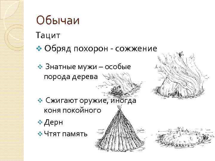 Обычаи Тацит v Обряд похорон - сожжение v Знатные мужи – особые порода дерева