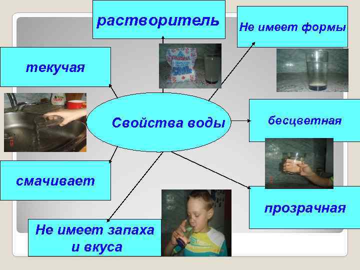 растворитель Не имеет формы текучая Свойства воды бесцветная смачивает прозрачная Не имеет запаха и