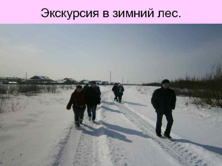 Экскурсия в зимний лес. 