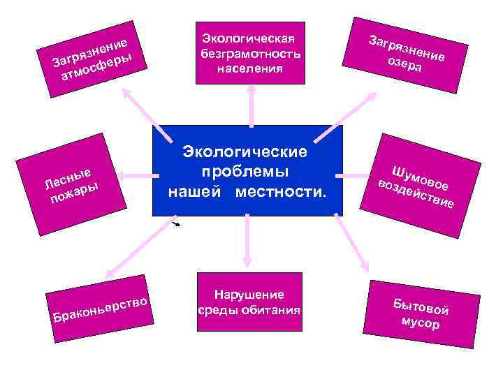 Проект экологические проблемы нашей местности