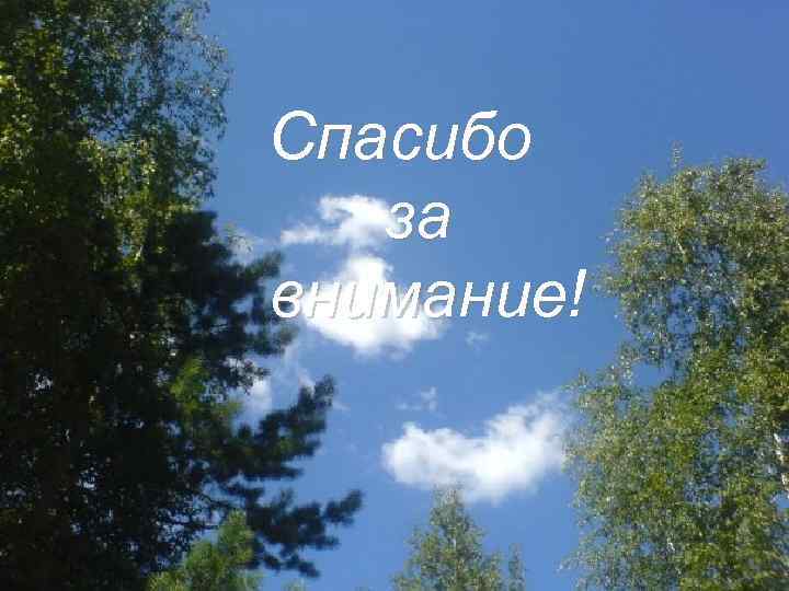 Спасибо за внимание! 