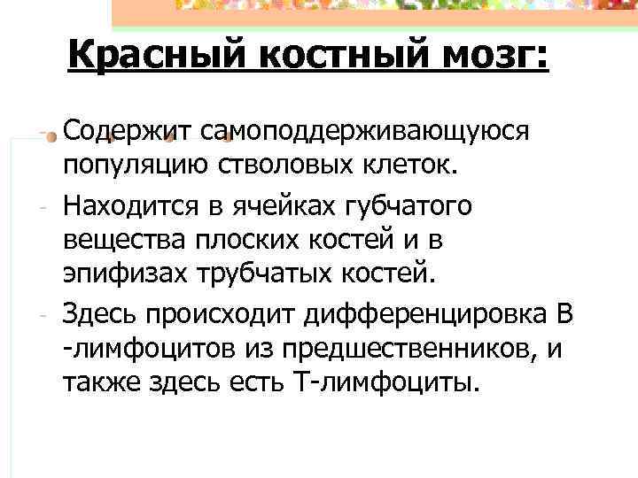 Красный костный мозг: - - Содержит самоподдерживающуюся популяцию стволовых клеток. Находится в ячейках губчатого
