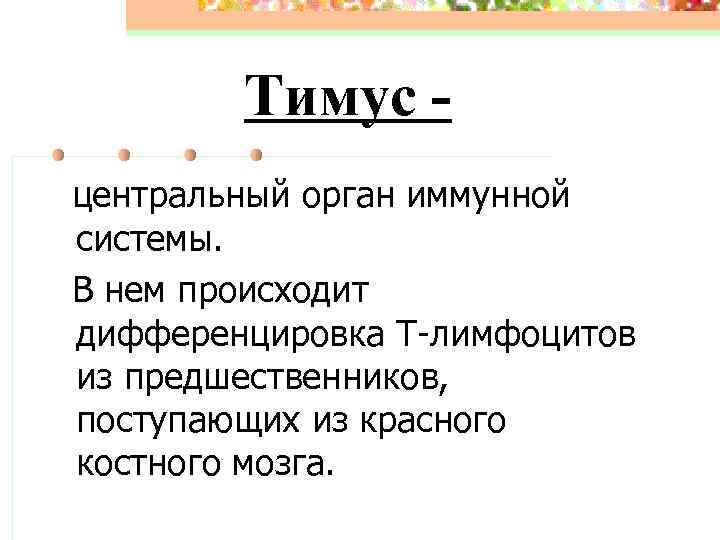 Тимус центральный орган иммунной системы. В нем происходит дифференцировка Т-лимфоцитов из предшественников, поступающих из