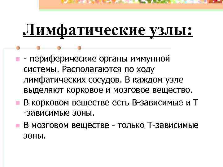 Лимфатические узлы: n n n - периферические органы иммунной системы. Располагаются по ходу лимфатических