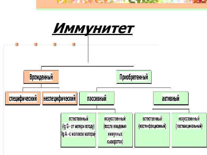 Иммунитет 