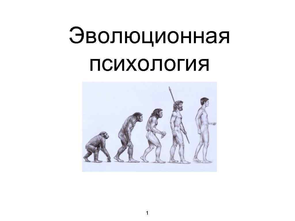 Эволюция идей. Джек Палмер, Линда Палмер - эволюционная психология. Эволюционная психология. Эволюционная теория в социальной психологии. Эволюционное развитие это в психологии.