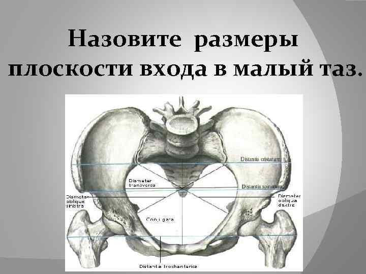 Размеры плоскости. Размеры плоскости входа в малый таз. Таблица плоскости малого таза. Прямой размер плоскости входа в малый таз. Левый косой размер плоскости входа в малый таз.