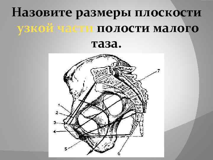 Назовите размеры плоскости узкой части полости малого таза. 