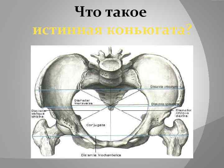 Что такое истинная коньюгата? 