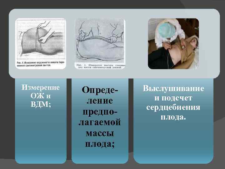 Измерение ОЖ и ВДМ; Определение предполагаемой массы плода; Выслушивание и подсчет сердцебиения плода. 