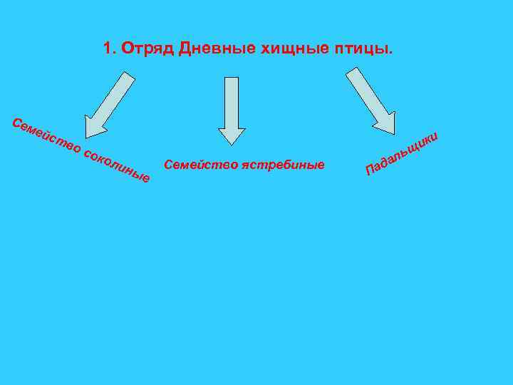 1. Отряд Дневные хищные птицы. Сем ейс тв ос око лин ые и ик