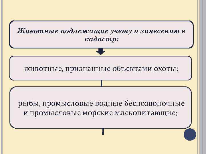 Эколого правовой режим пользования животным миром презентация