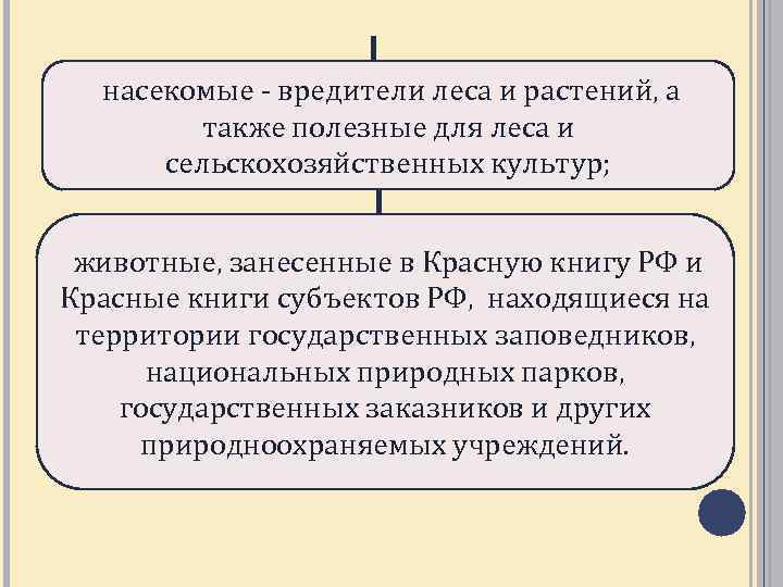 насекомые - вредители леса и растений, а также полезные для леса и сельскохозяйственных культур;