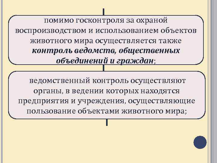 Эколого правовой режим пользования животным миром презентация