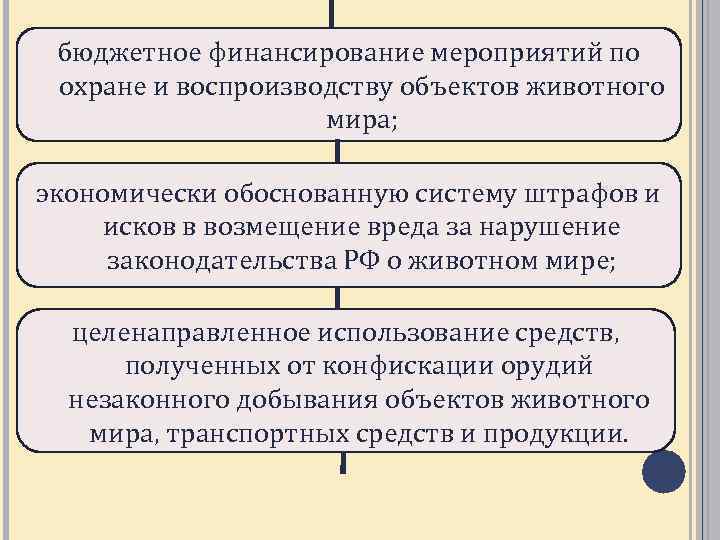 бюджетное финансирование мероприятий по охране и воспроизводству объектов животного мира; экономически обоснованную систему штрафов