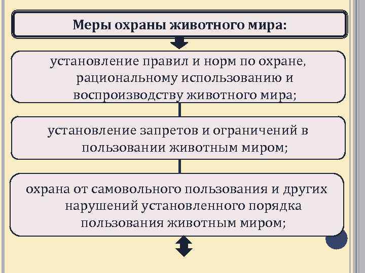 Меры охраны животного мира: установление правил и норм по охране, рациональному использованию и воспроизводству