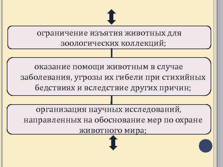 Эколого правовой режим пользования животным миром презентация