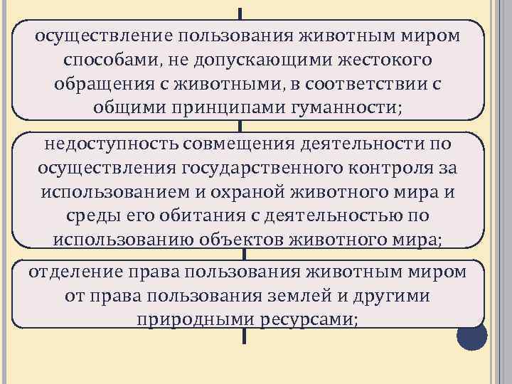 Пользование животным миром налог