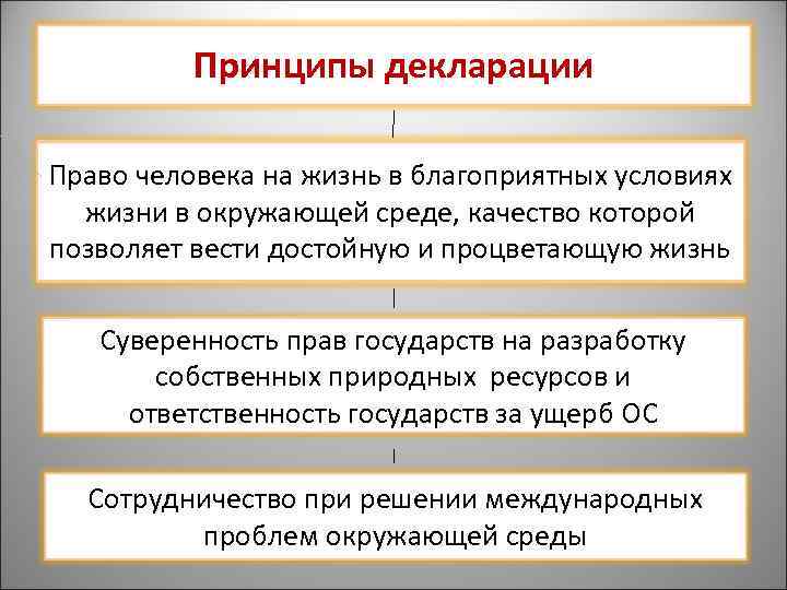 Принципы декларации Право человека на жизнь в благоприятных условиях жизни в окружающей среде, качество