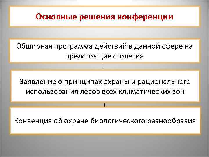 Основные решения конференции Обширная программа действий в данной сфере на предстоящие столетия Заявление о