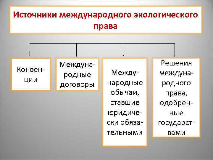 Международное экологическое право