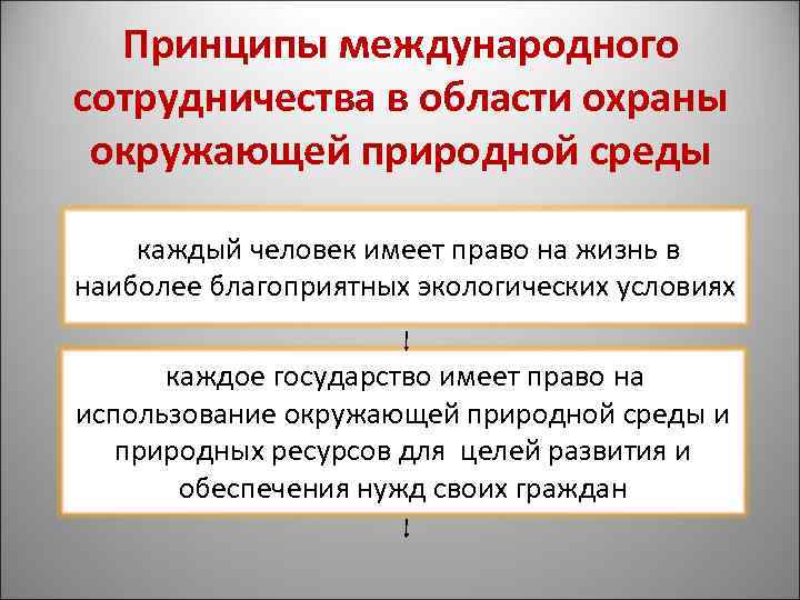 Принципы международного сотрудничества в области охраны окружающей природной среды каждый человек имеет право на