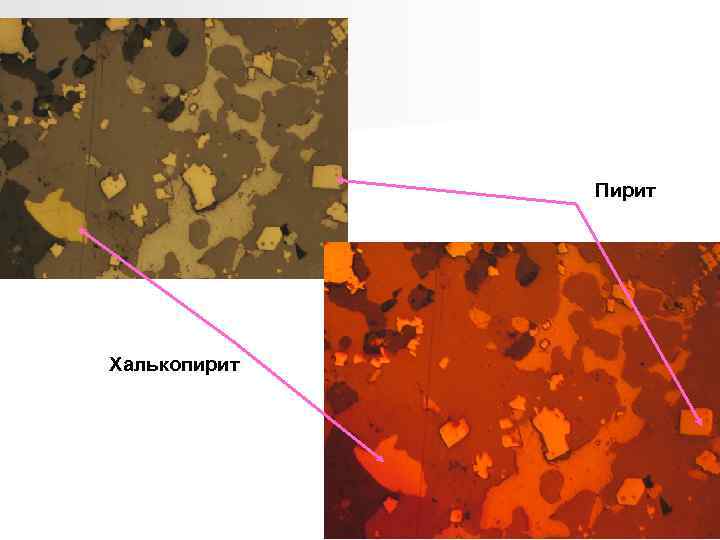 Пирит Халькопирит 