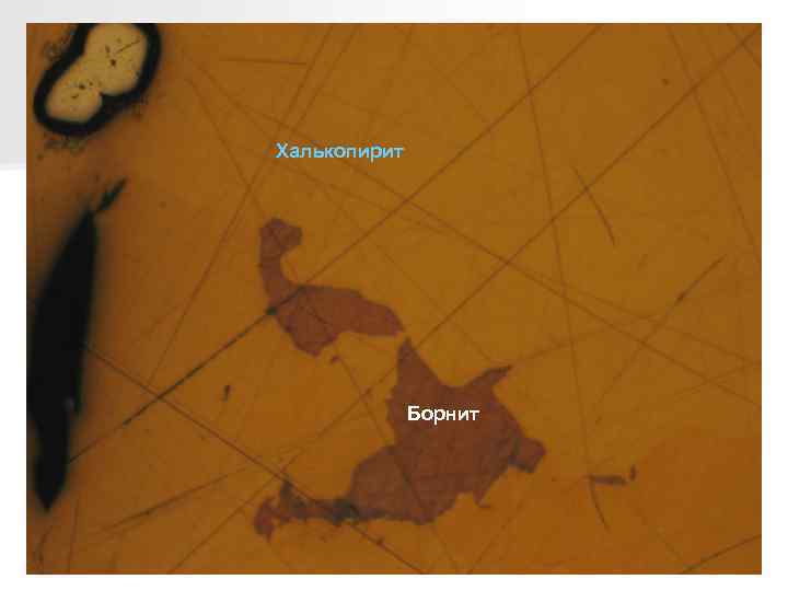 Халькопирит Борнит 