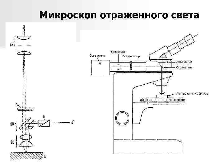 Схемы микроскопа проходящего и отраженного света