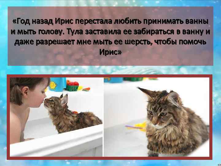  «Год назад Ирис перестала любить принимать ванны и мыть голову. Тула заставила ее
