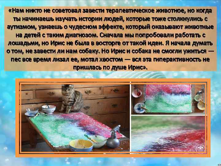  «Нам никто не советовал завести терапевтическое животное, но когда ты начинаешь изучать истории